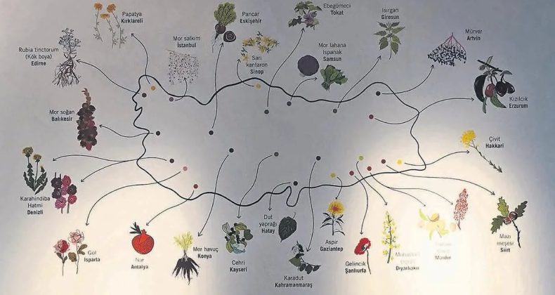 Ne ararsan Anadolu’da var – Cumartesi Sabah Haberleri
