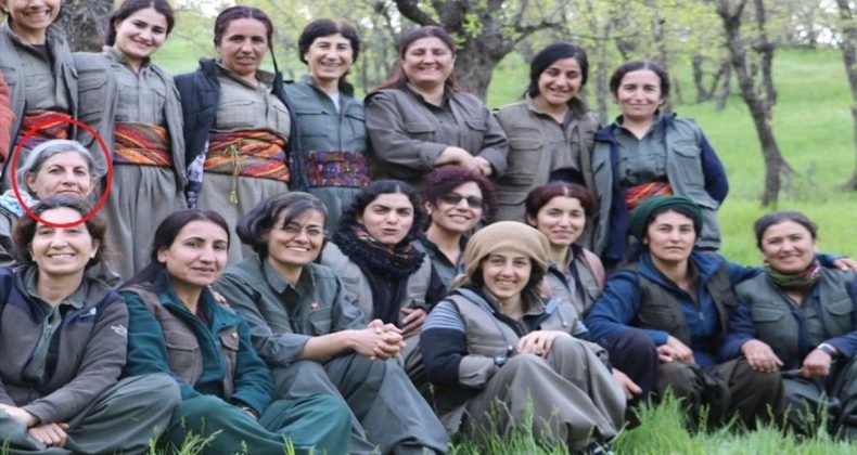 PKK’lı terörist Şiraz Ömer öldürüldü
