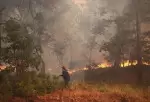 Yunanistan’da orman yangını: Katerin’den alevler yükseldi